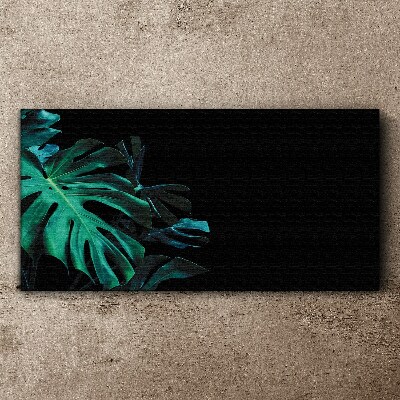 Green leaves on a black background Canvas Wall art