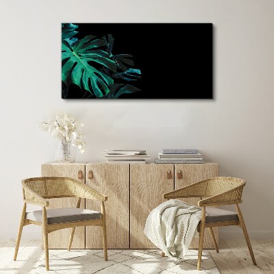Green leaves on a black background Canvas Wall art