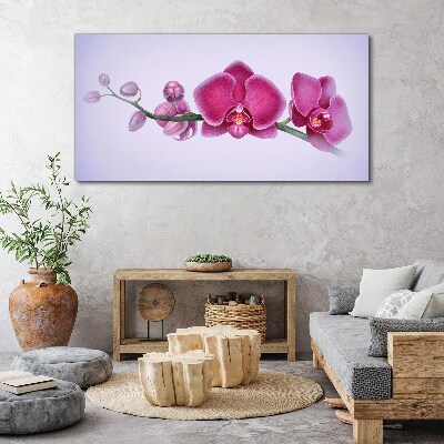 Watercolor orchid flower branch Canvas Wall art