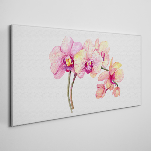 The floral beauty of orchids Canvas Wall art