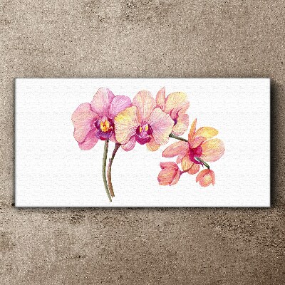 The floral beauty of orchids Canvas Wall art