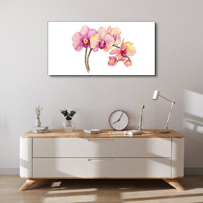 The floral beauty of orchids Canvas Wall art