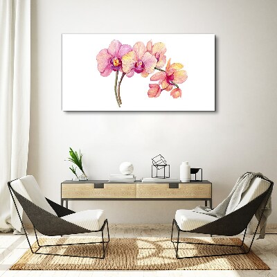 The floral beauty of orchids Canvas Wall art