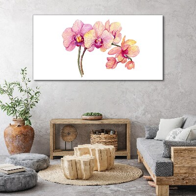 The floral beauty of orchids Canvas Wall art