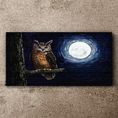 Owl in the moonlight Canvas Wall art