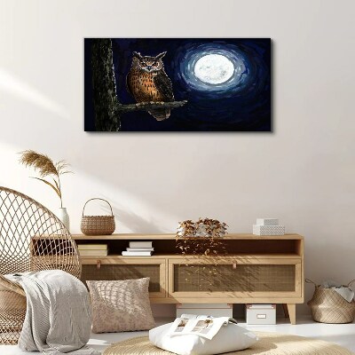 Owl in the moonlight Canvas Wall art