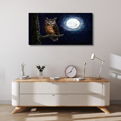 Owl in the moonlight Canvas Wall art