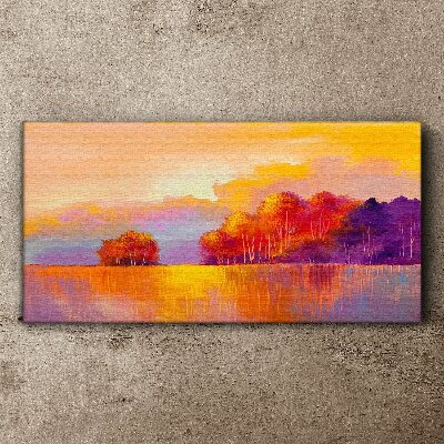 Colorful sunset over the meadow Canvas Wall art
