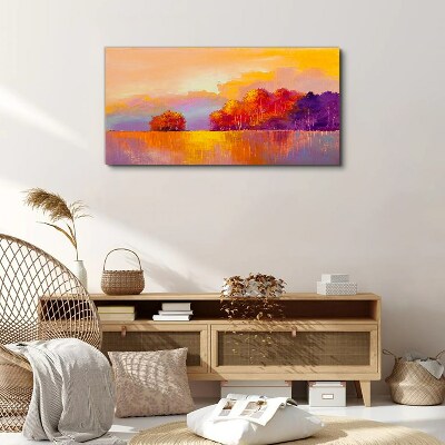 Colorful sunset over the meadow Canvas Wall art