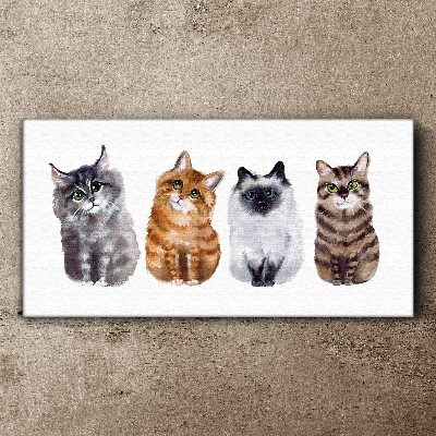 Cats in different shades Canvas Wall art