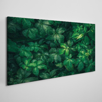 Floral leaf leaves Canvas Wall art