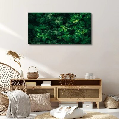 Floral leaf leaves Canvas Wall art