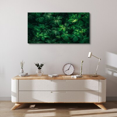 Floral leaf leaves Canvas Wall art