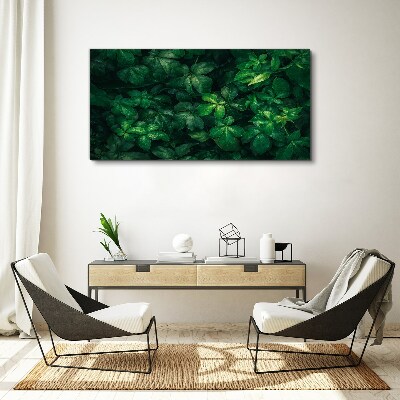 Floral leaf leaves Canvas Wall art