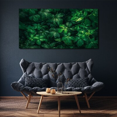 Floral leaf leaves Canvas Wall art