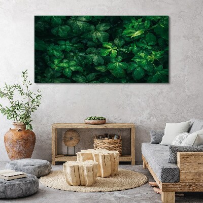 Floral leaf leaves Canvas Wall art