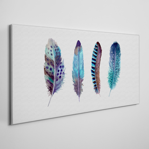 Colorful Feathers on White Background Canvas Wall art