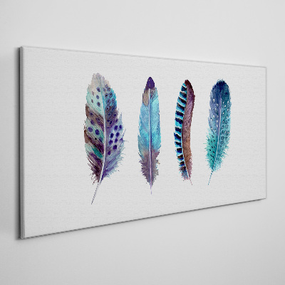 Colorful Feathers on White Background Canvas Wall art