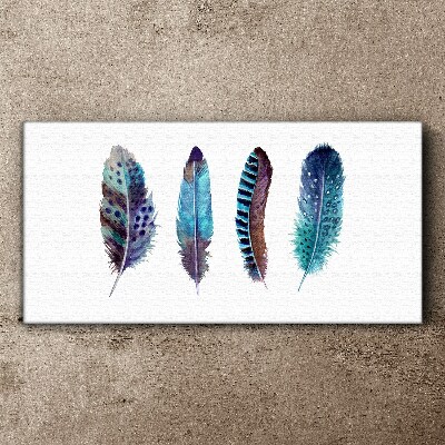 Colorful Feathers on White Background Canvas Wall art