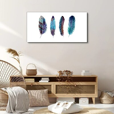 Colorful Feathers on White Background Canvas Wall art