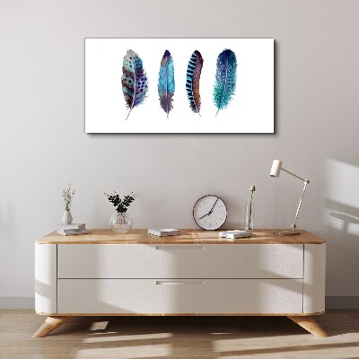 Colorful Feathers on White Background Canvas Wall art