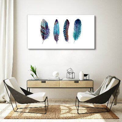 Colorful Feathers on White Background Canvas Wall art