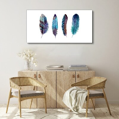 Colorful Feathers on White Background Canvas Wall art