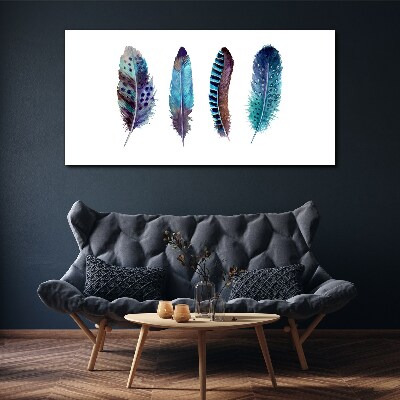 Colorful Feathers on White Background Canvas Wall art