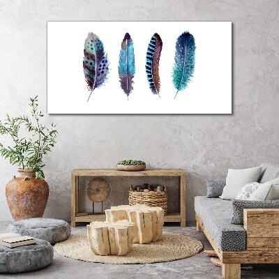Colorful Feathers on White Background Canvas Wall art