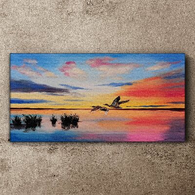 Lake birds sunset Canvas Wall art
