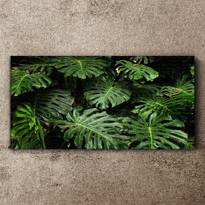 Tropical Monstera Leaves Canvas Wall art
