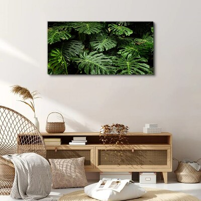 Tropical Monstera Leaves Canvas Wall art