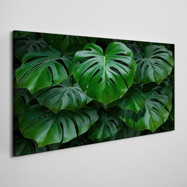 Green Symphony of Monstera Leaves Canvas Wall art