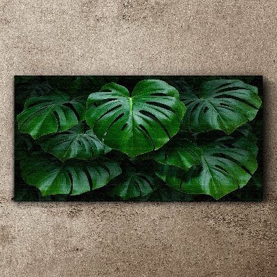 Green Symphony of Monstera Leaves Canvas Wall art