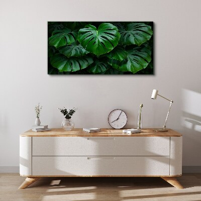 Green Symphony of Monstera Leaves Canvas Wall art