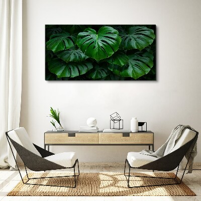 Green Symphony of Monstera Leaves Canvas Wall art