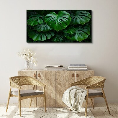 Green Symphony of Monstera Leaves Canvas Wall art