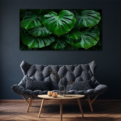 Green Symphony of Monstera Leaves Canvas Wall art