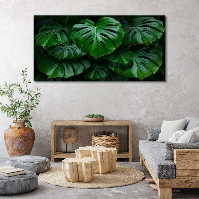 Green Symphony of Monstera Leaves Canvas Wall art