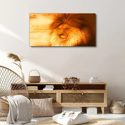 Golden Lion in Abstract Form Canvas Wall art