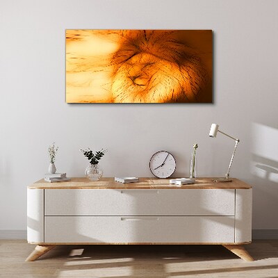 Golden Lion in Abstract Form Canvas Wall art