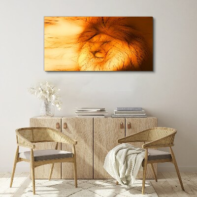 Golden Lion in Abstract Form Canvas Wall art