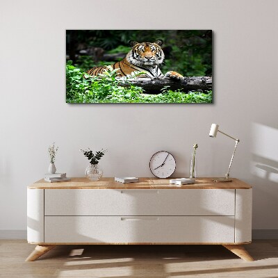 Forest animal tiger cat Canvas Wall art