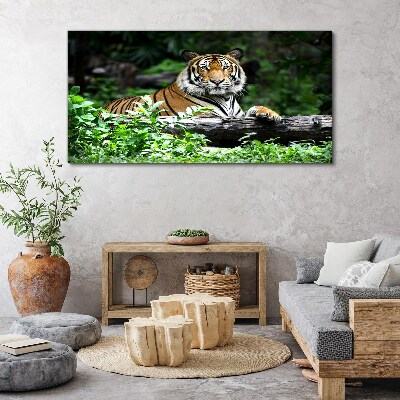 Forest animal tiger cat Canvas Wall art