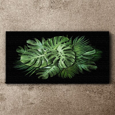 Tropical green on black background Canvas Wall art