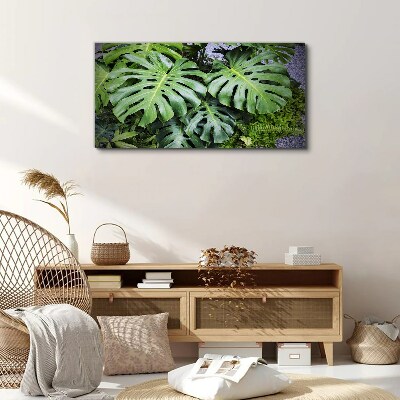 Botanical plants leaves Canvas Wall art