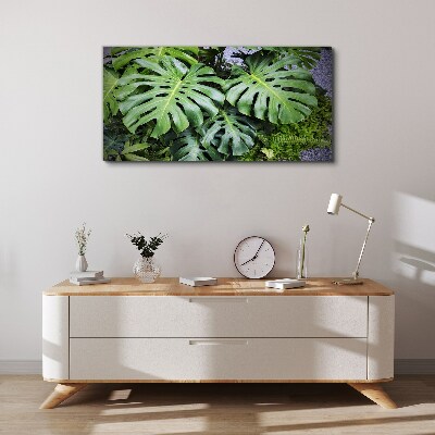 Botanical plants leaves Canvas Wall art