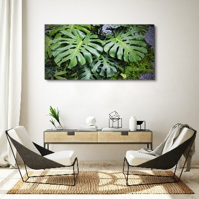 Green Monstera Leaves in Nature Canvas Wall art