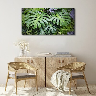 Green Monstera Leaves in Nature Canvas Wall art