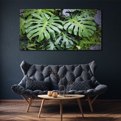Green Monstera Leaves in Nature Canvas Wall art